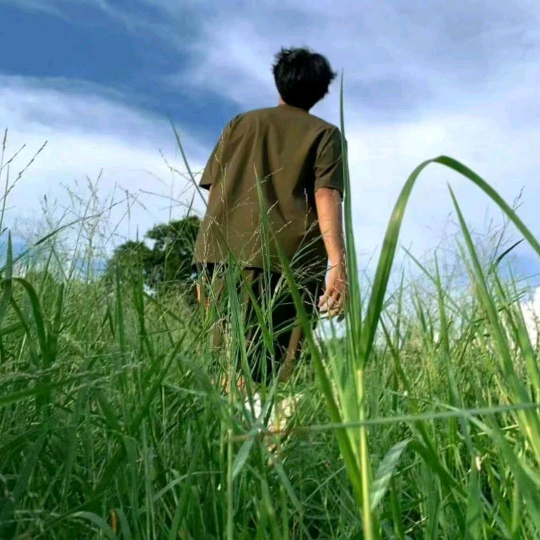 路途旅行记（呼伦贝尔大草原）