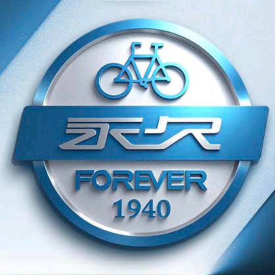 永久牌电动车