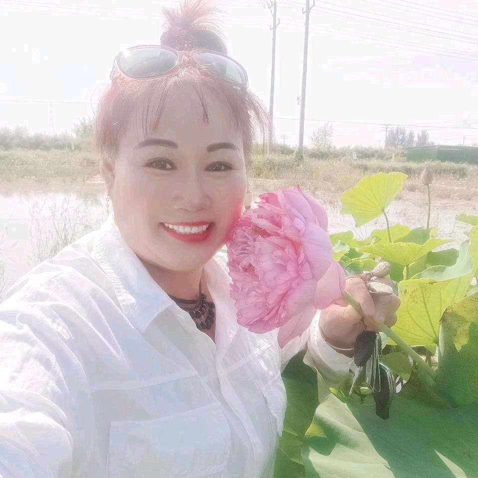 臣云菲