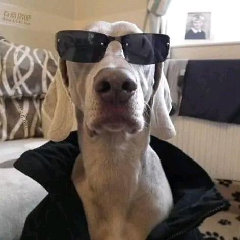 鑫雨爱美食爱装潢设计