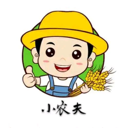 骑行二姐