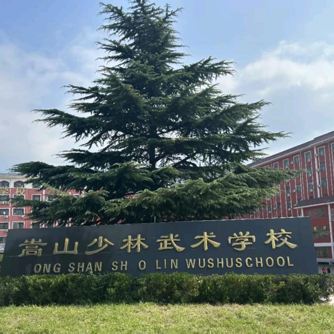 嵩山少林武术学校.