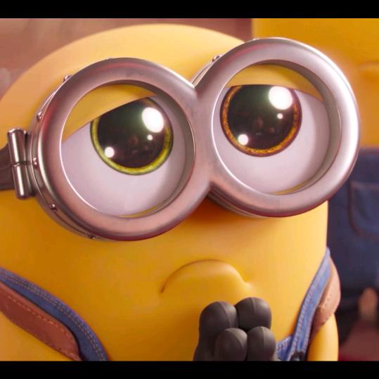 想养一只起司猫🐾