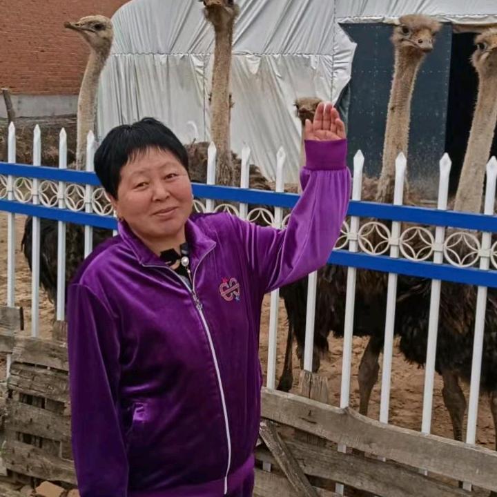 小云豆