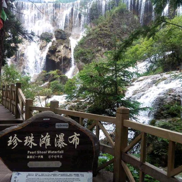 逆流而上