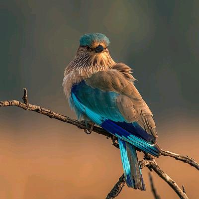 ꧔ꦿ᭄冷✿漠💞᭄࿐