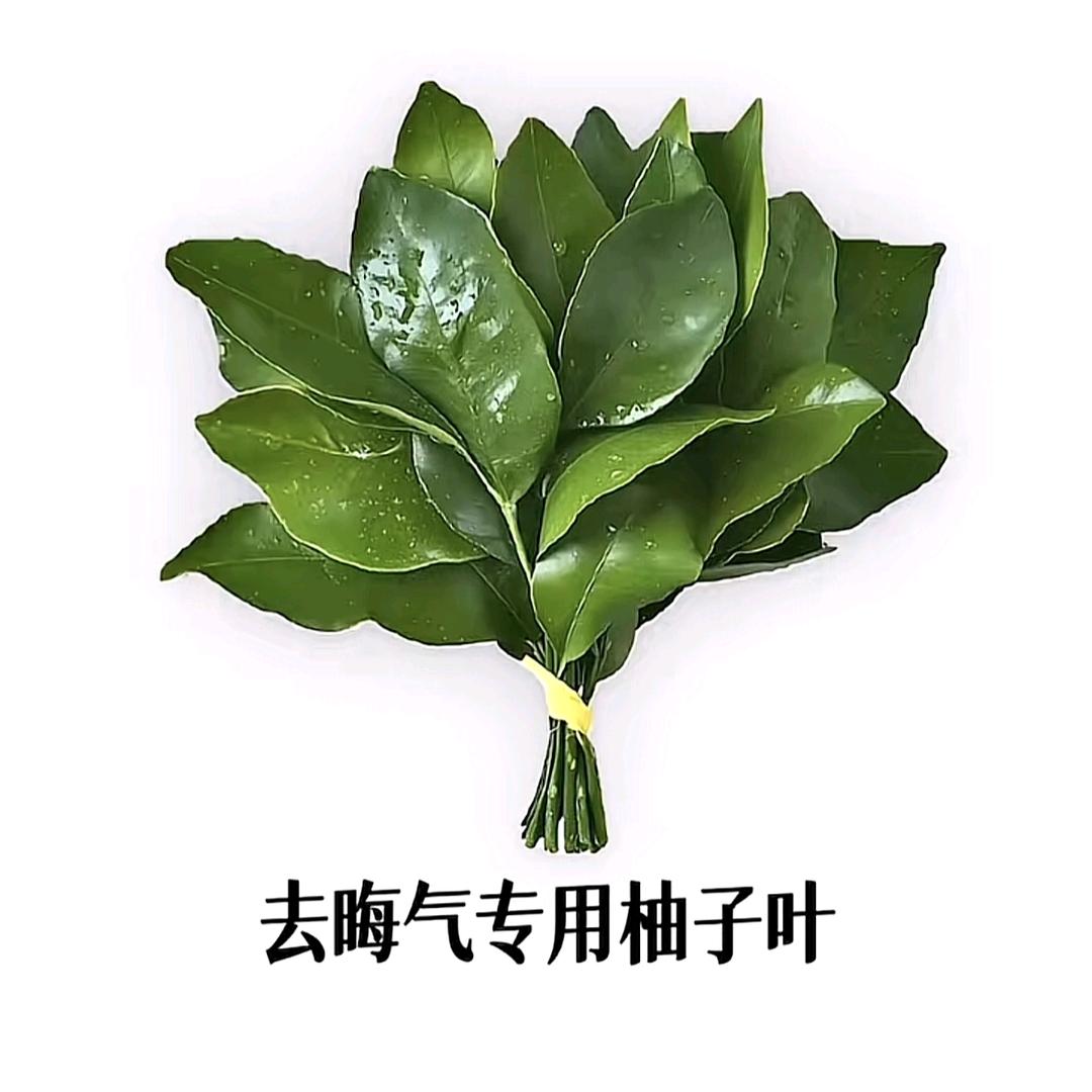 小饱1.0