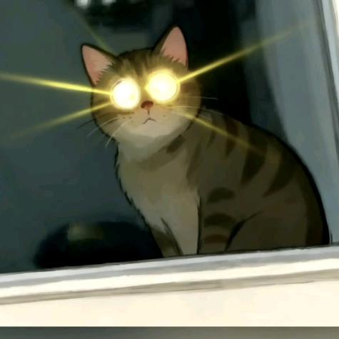 🍊橘子的秘密基地