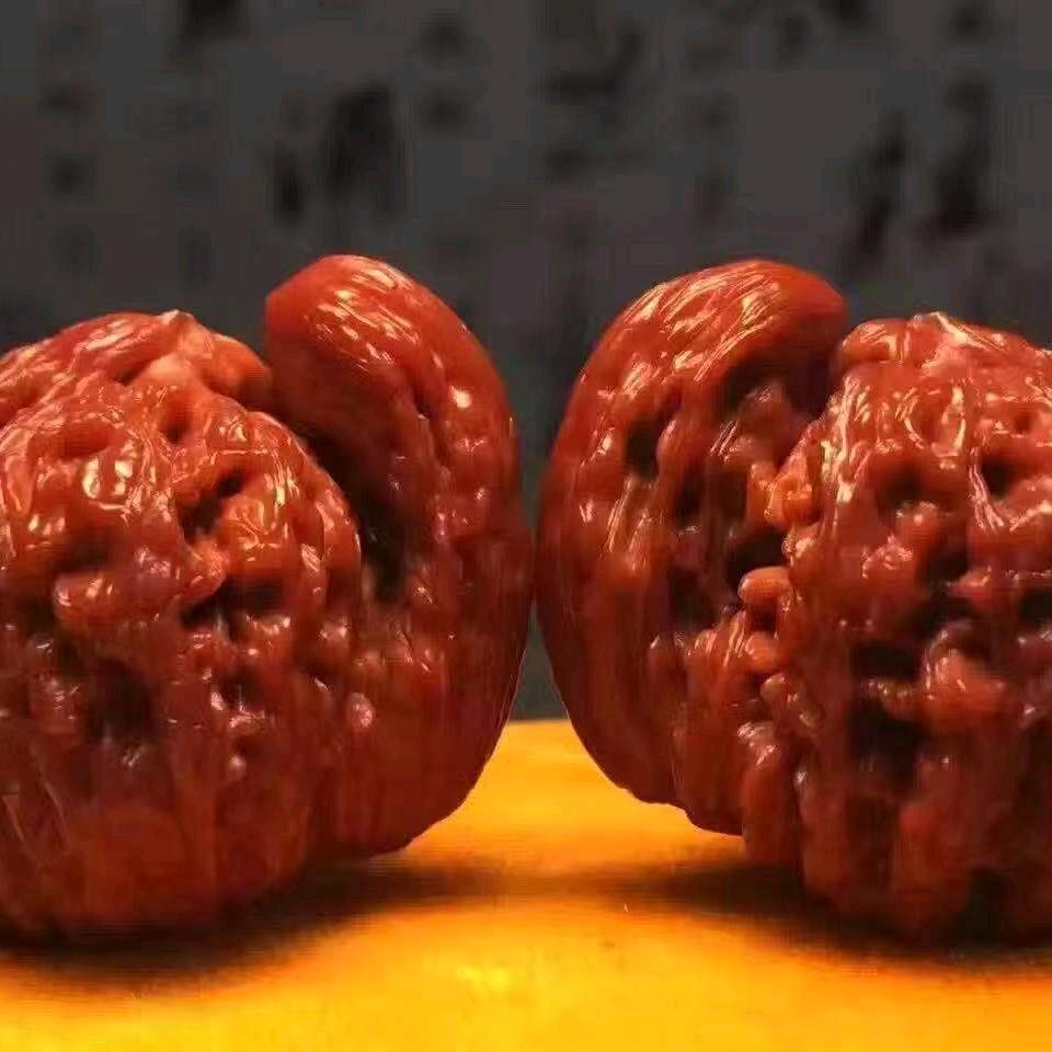 老聂