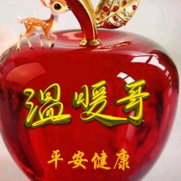 温暖哥