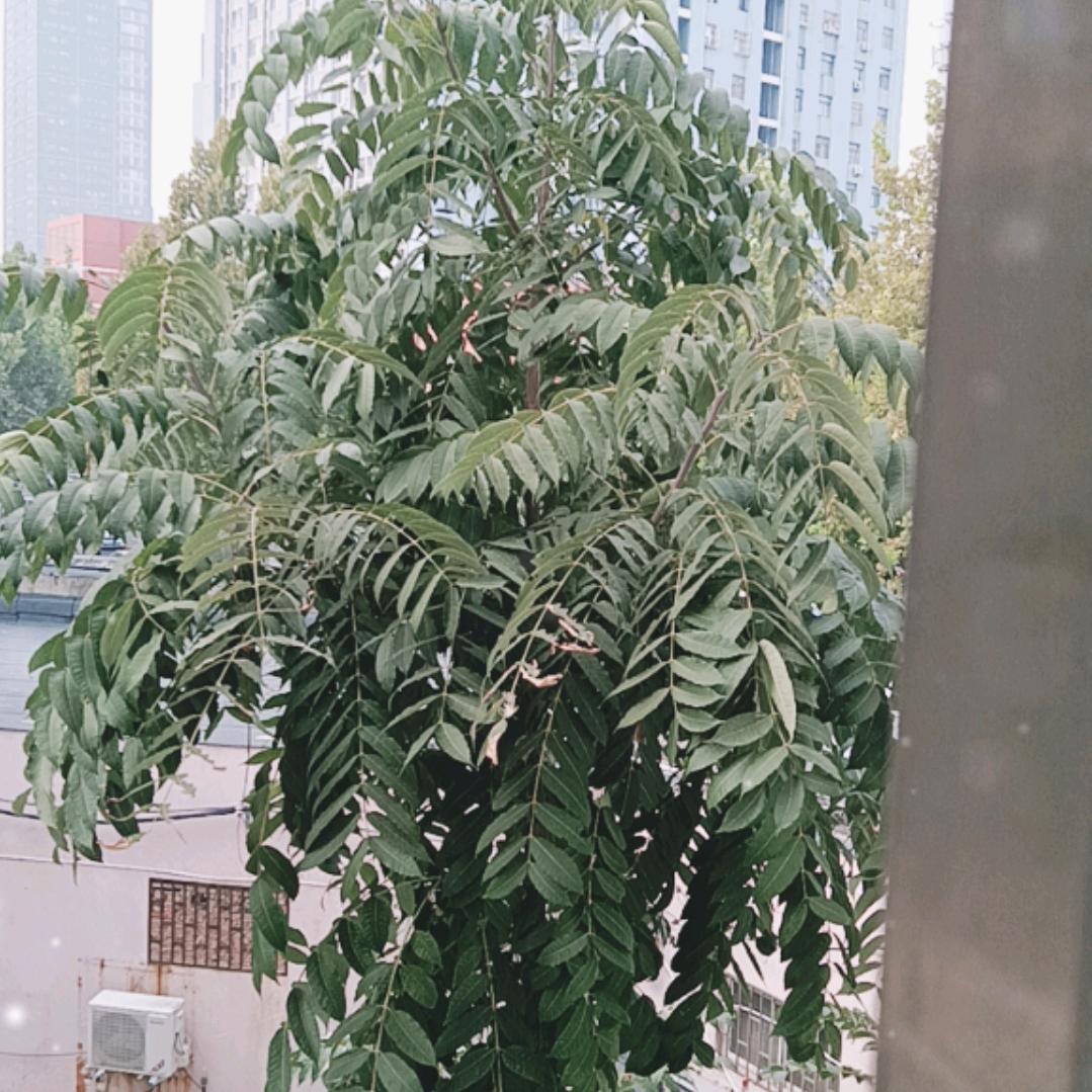 好运相伴