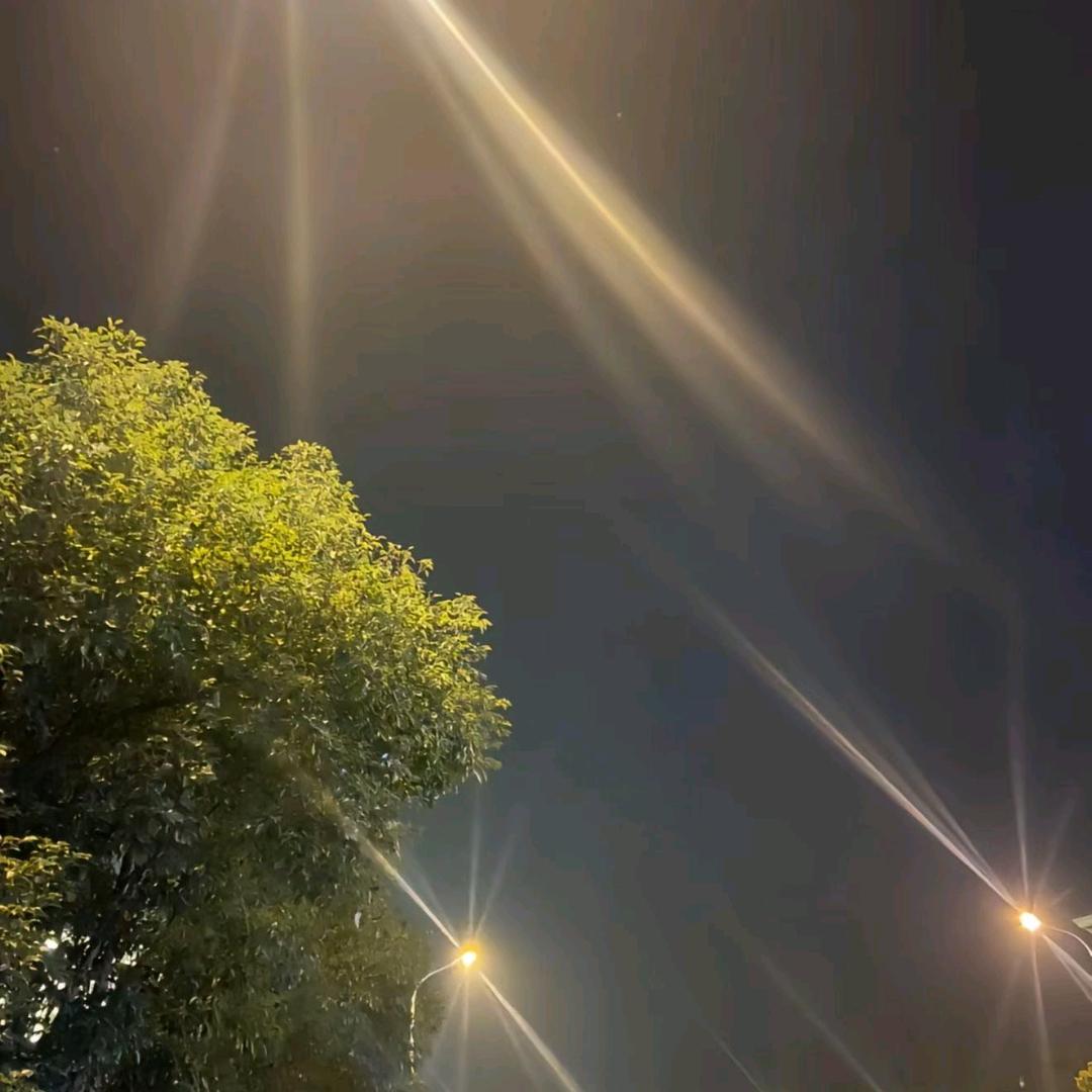 ✨1206