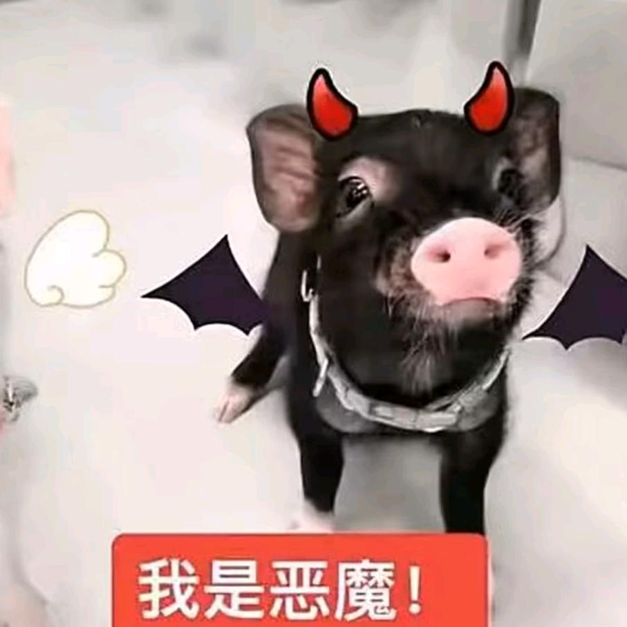 小屿