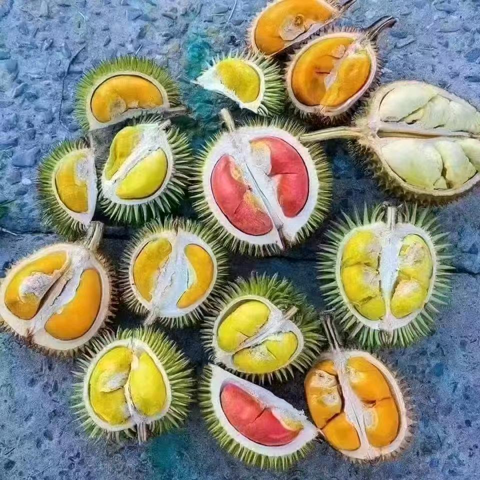 榴莲小哥
