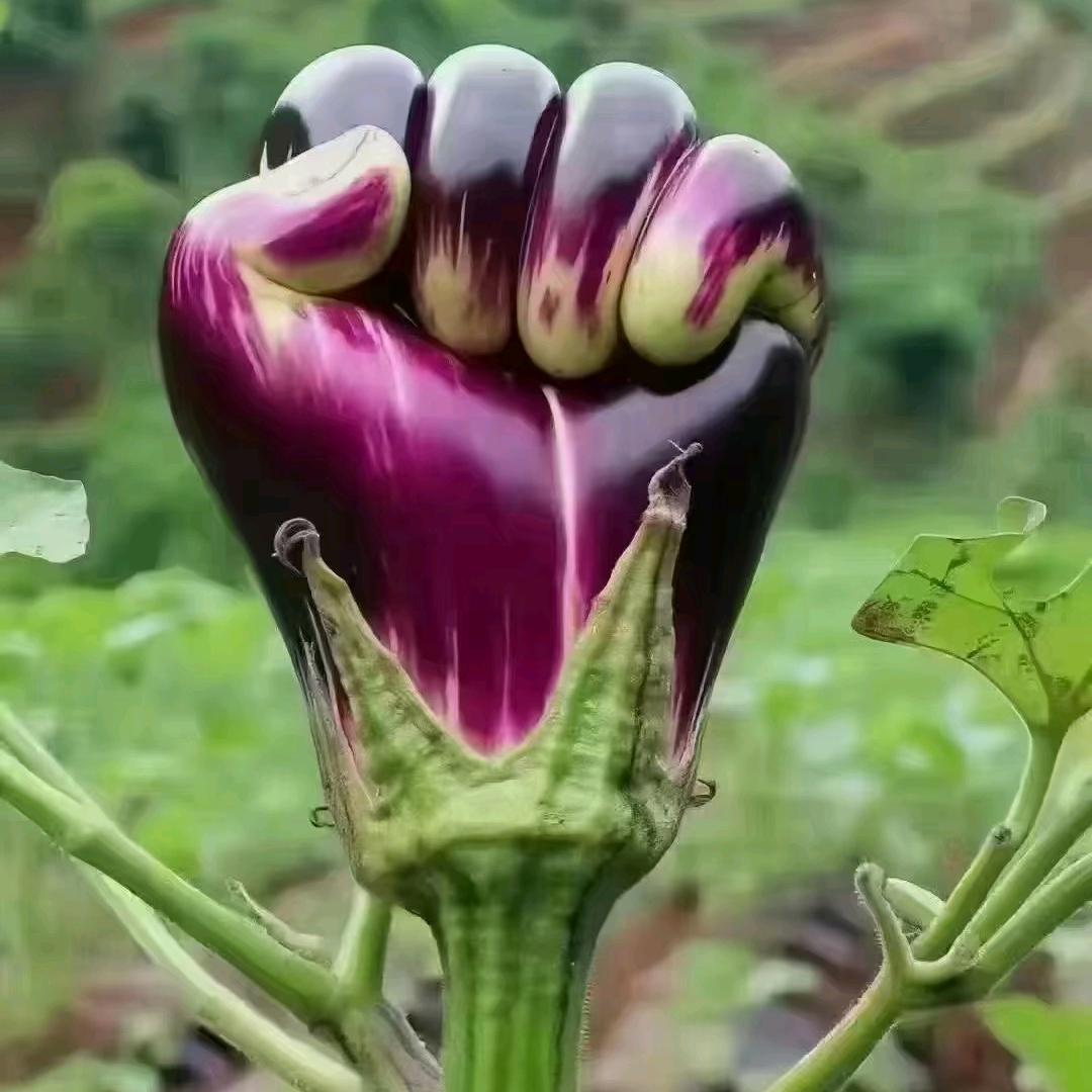 倾国天下