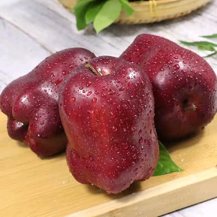 用心追梦
