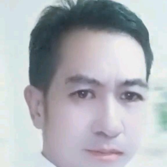 龙飞凤舞