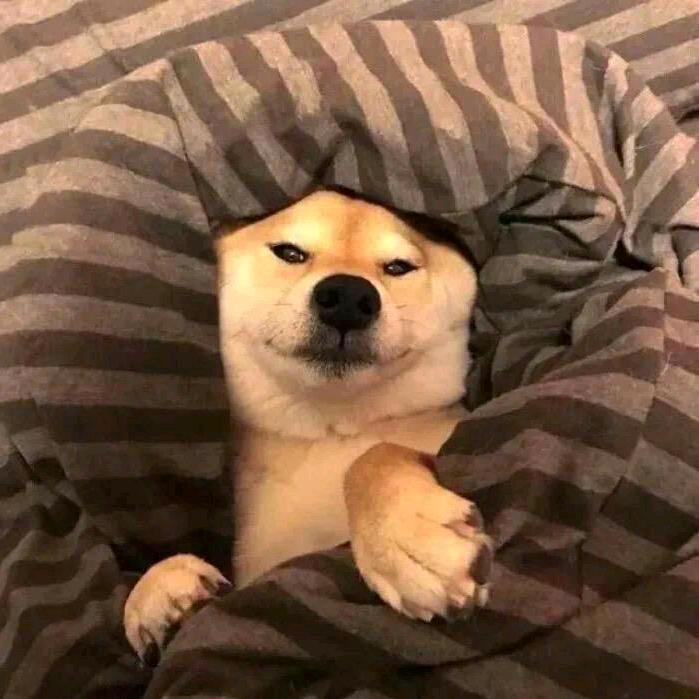 抖姐姐🐷ym🌹夏至