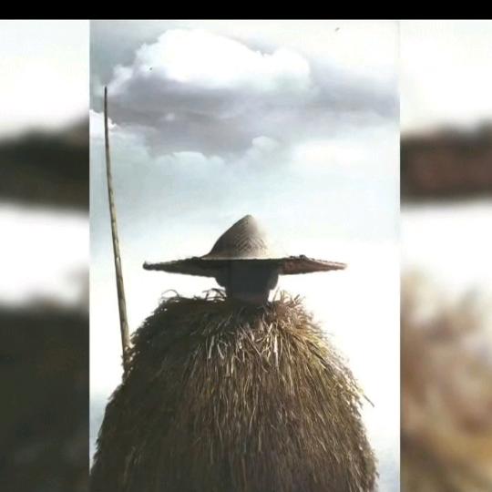 ①蓑烟雨任平生