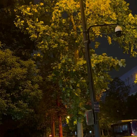 幸运女神（错入凡尘）