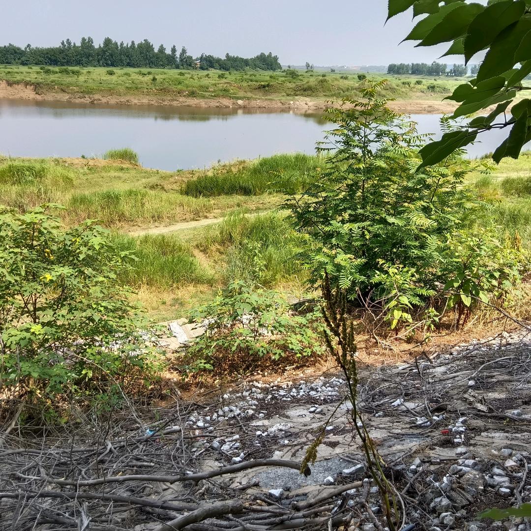 古、月
