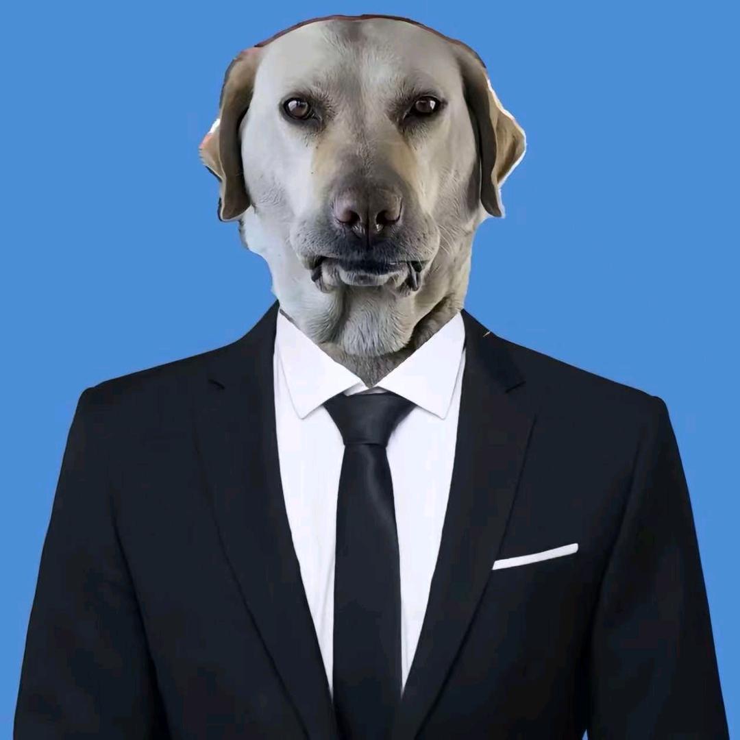 迷你小蟑螂拳打Superman