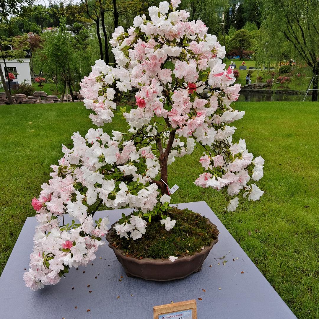 用户136666999吴工