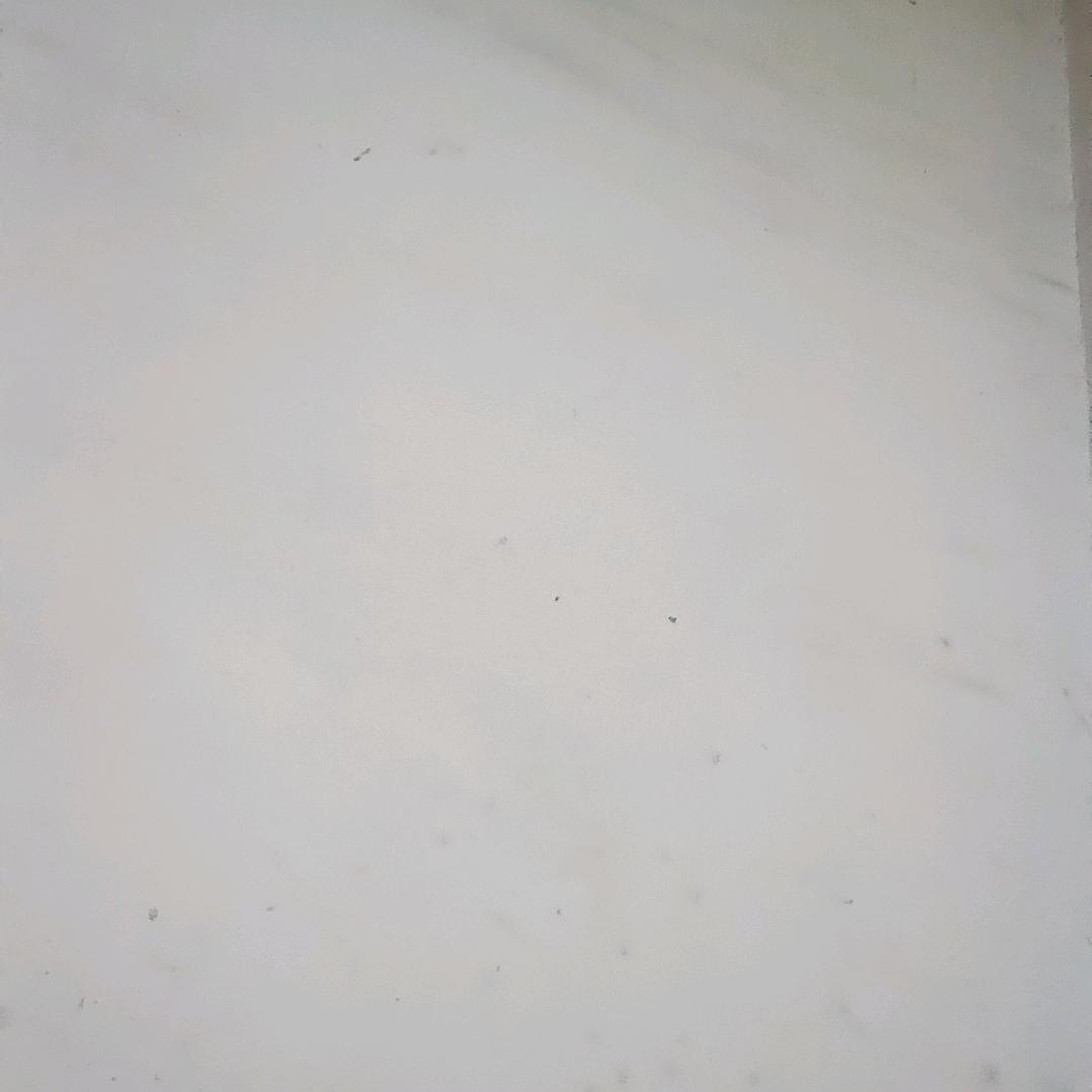 淋林
