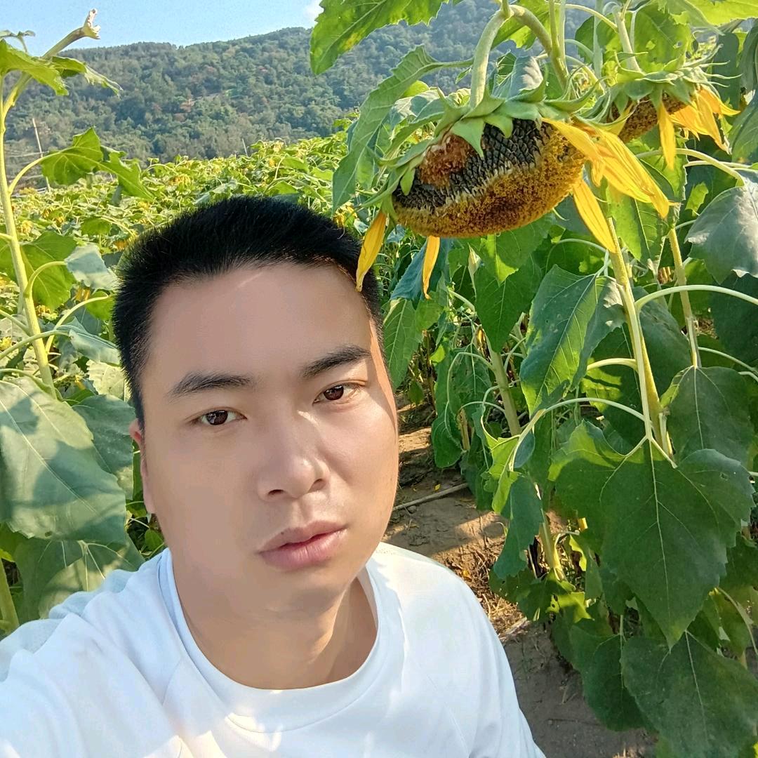 拥抱每一天
