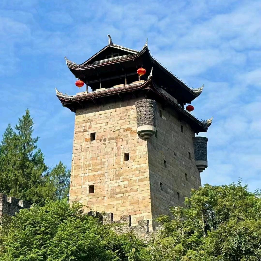 忘記，不代表✄放棄