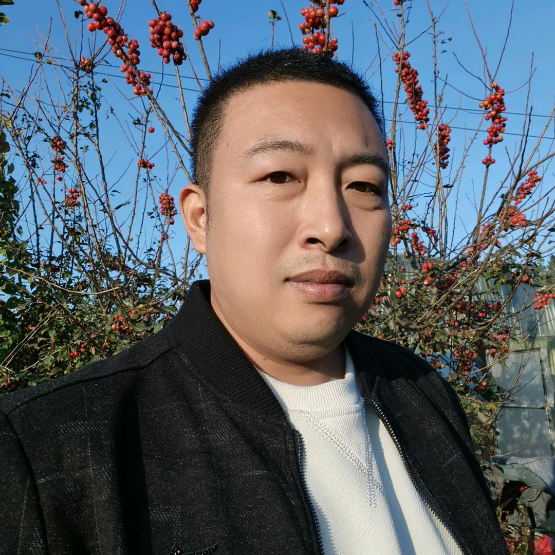 村头侯哥