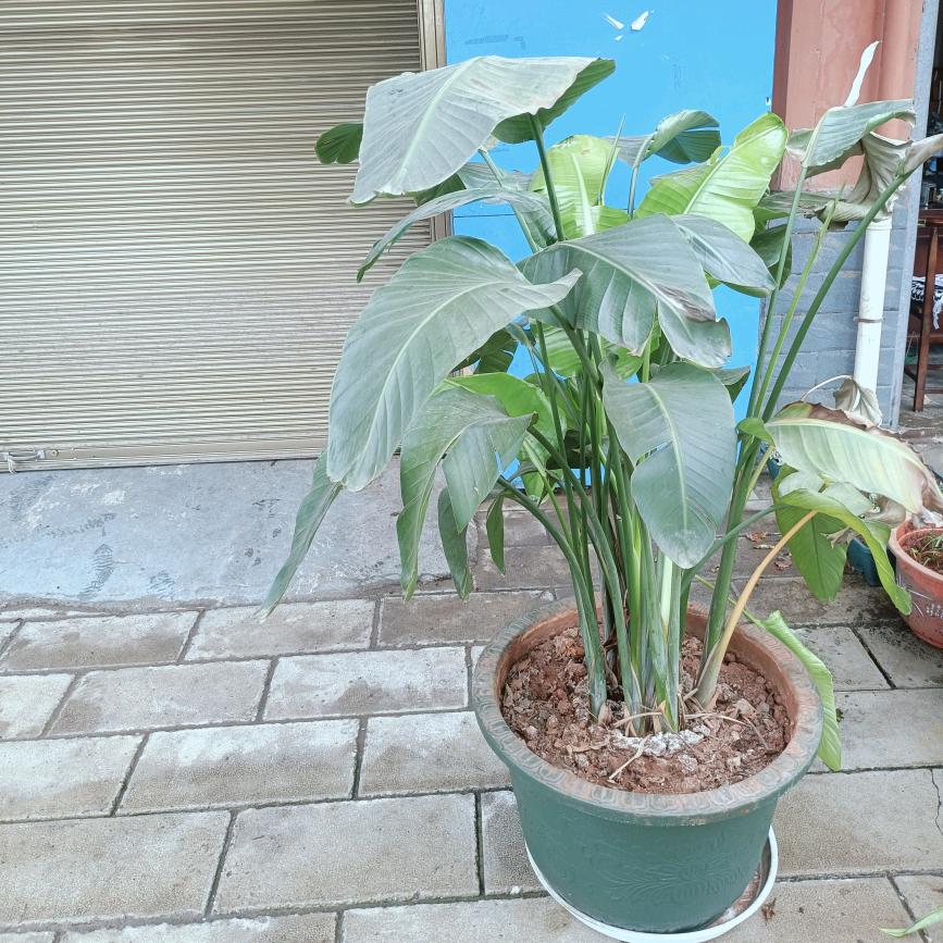 宜良县刘玉红旧货调剂店