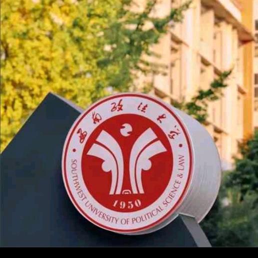 西政国际本科小助手