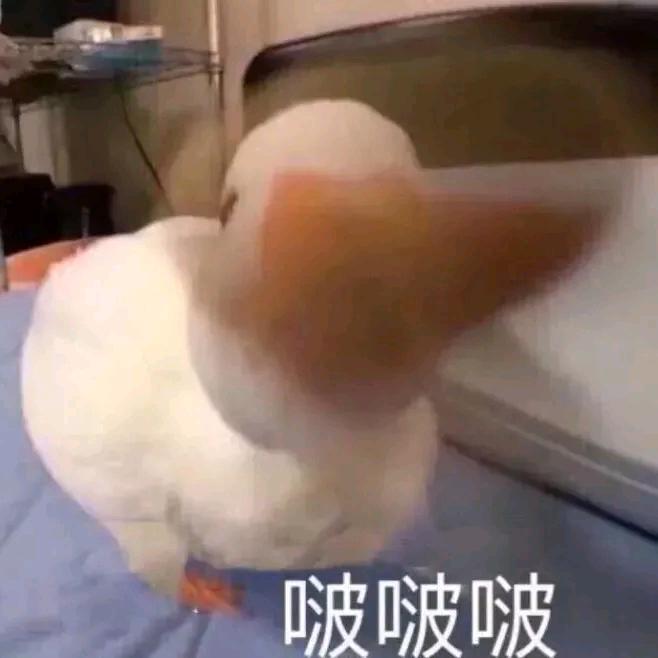 XIAOMENG