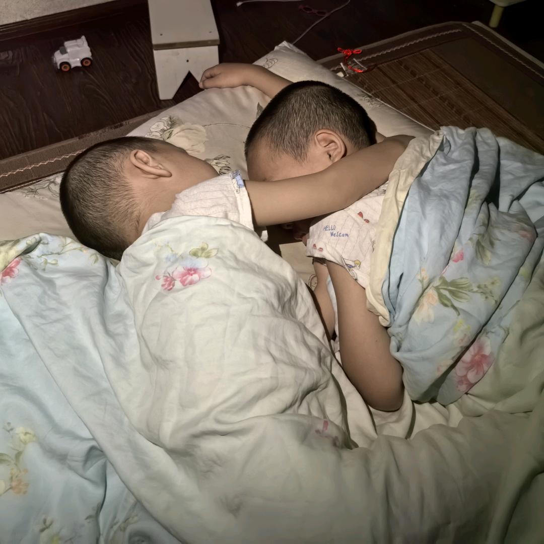 杨小杨