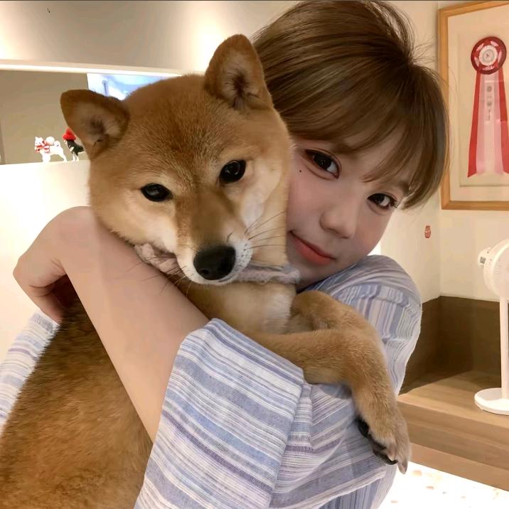 紫竹林兰