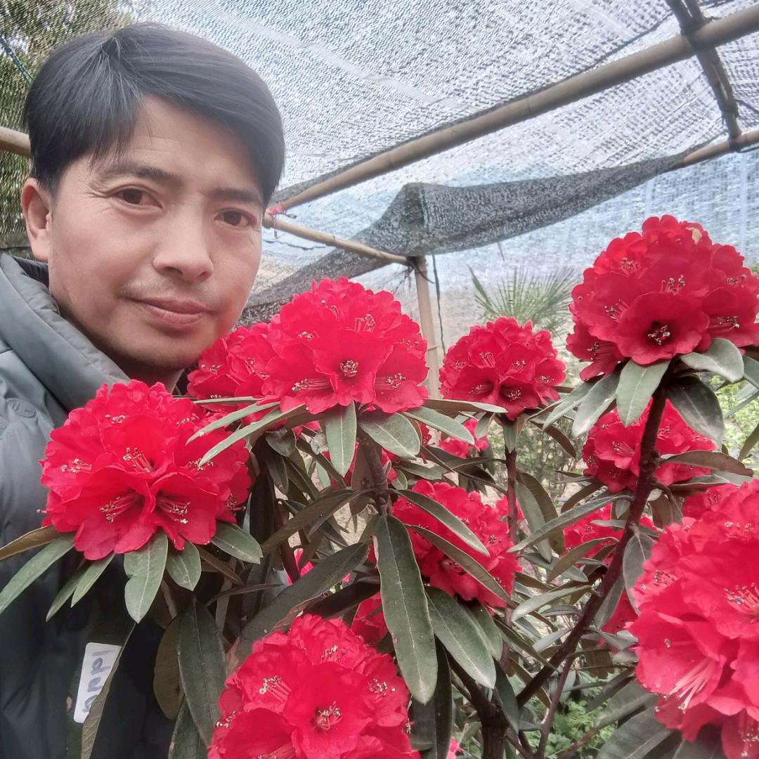 《李哥》花卉苗木