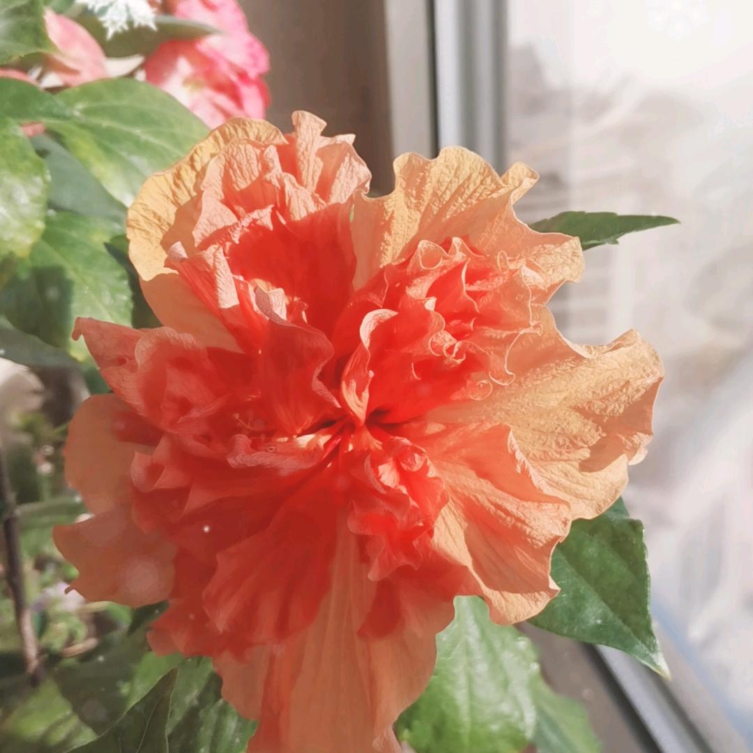 蓝天白云