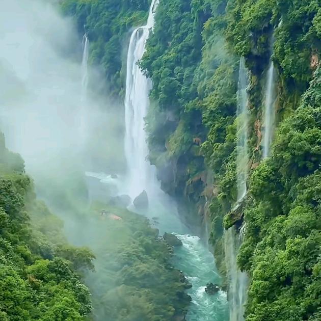 小倾城么么哒😘ibo（疯狂磕奖励版）