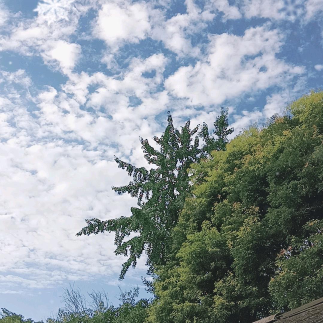 昔日同盟