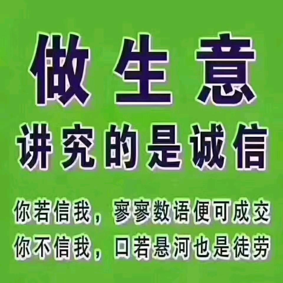 林弟