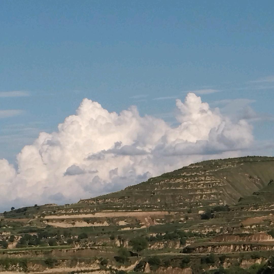 看看几句话宝宝