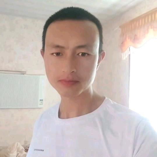 甘肃武威马洒力牛羊肉全国各地批发零售