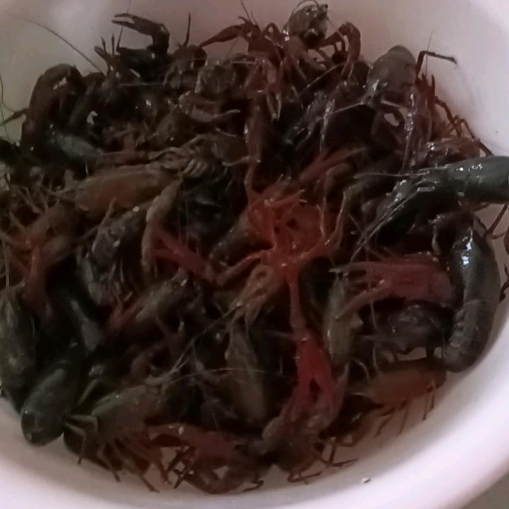 濮院户外打野