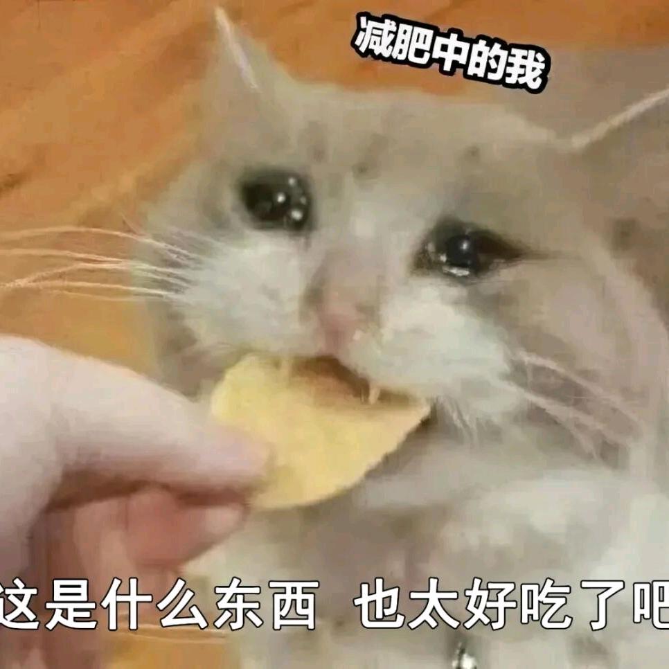 张显宗（当归）