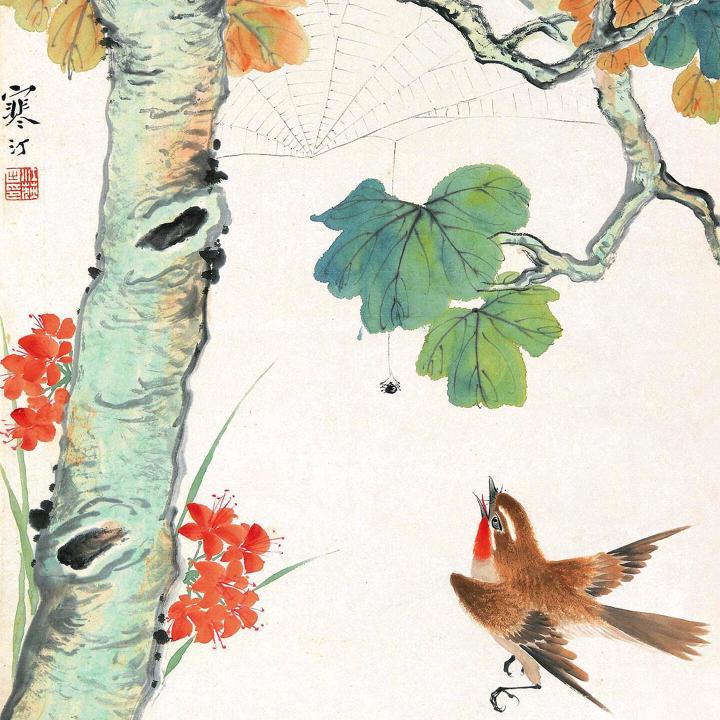 心雨瑶