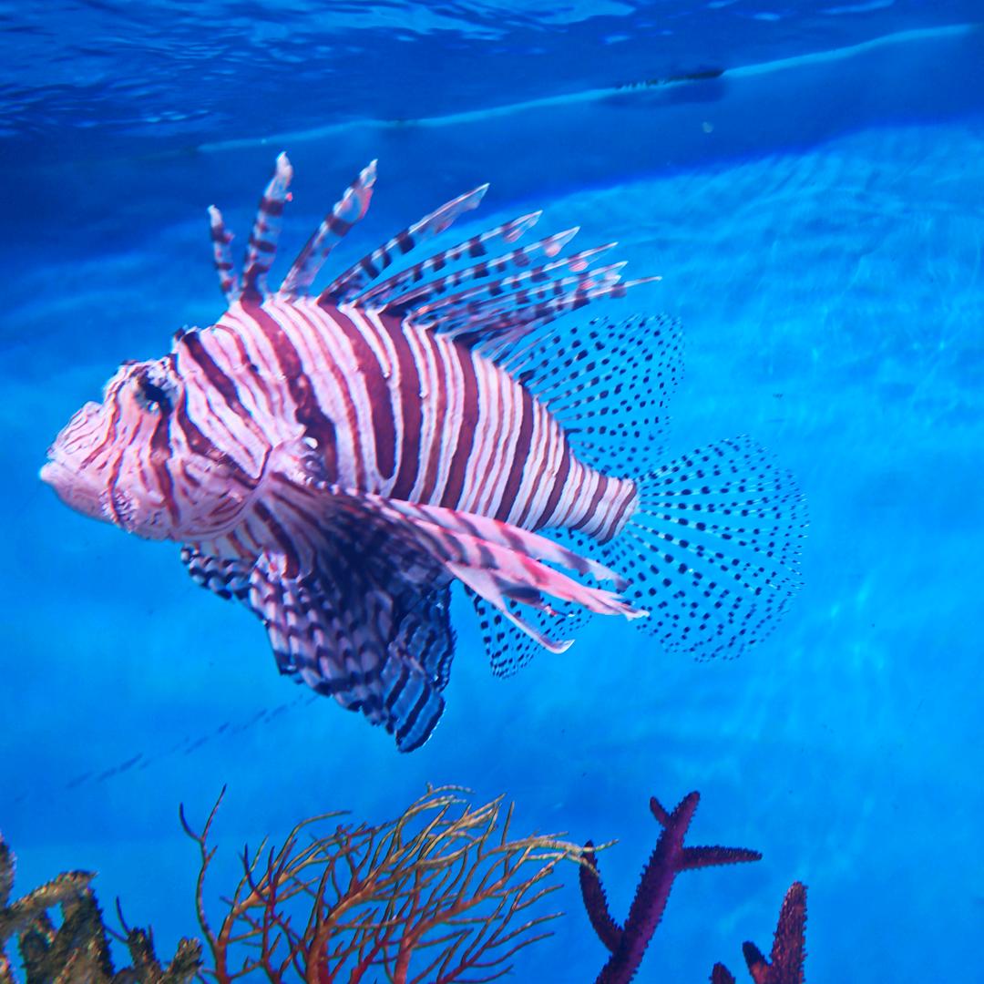 红尘路上拥有你