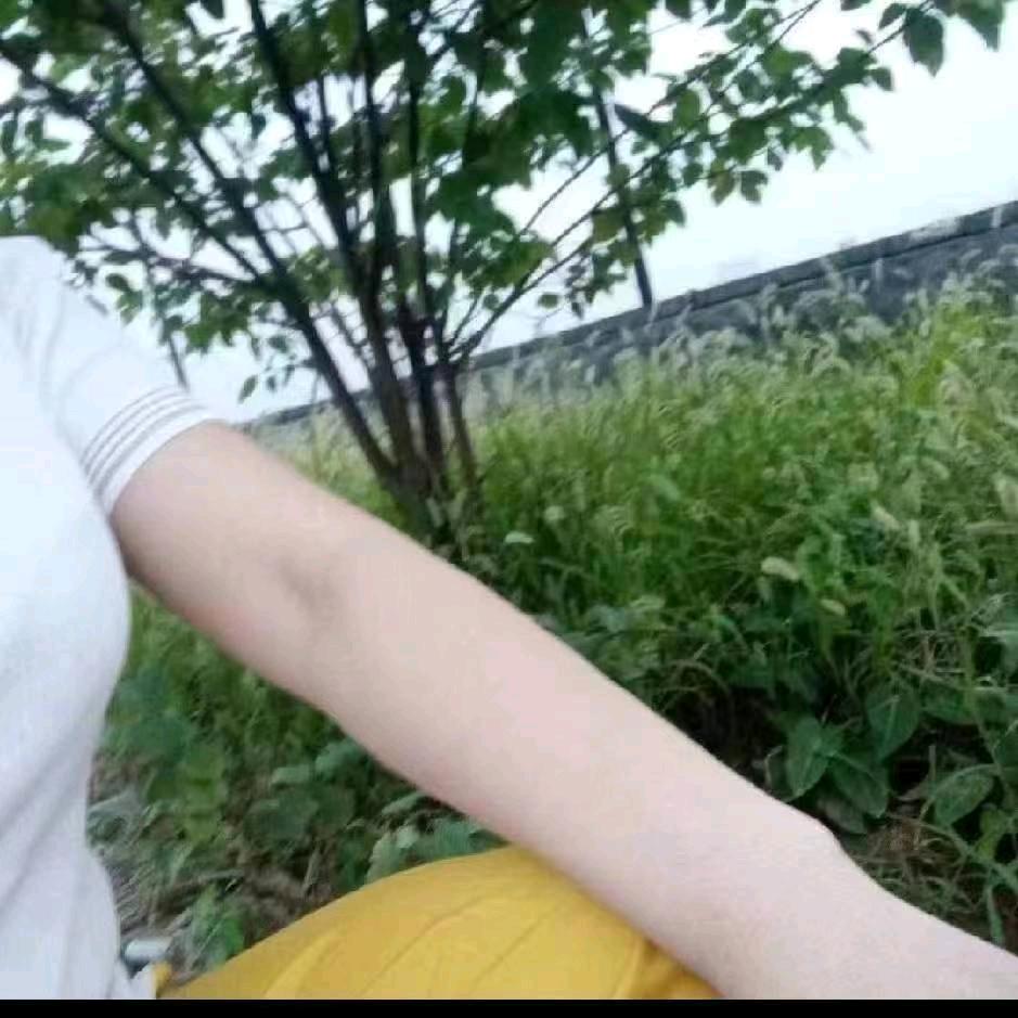 小草