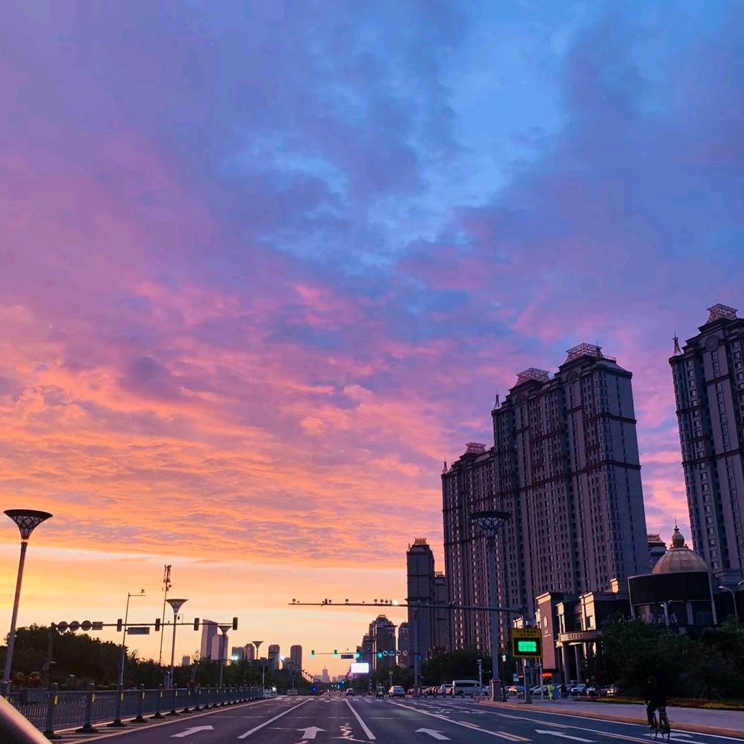 派大星( ｡• 👅 •｡｀)