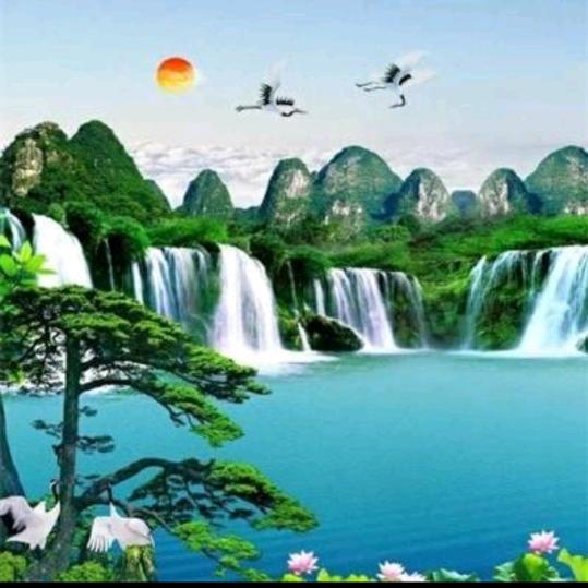 中国🇨🇳梦